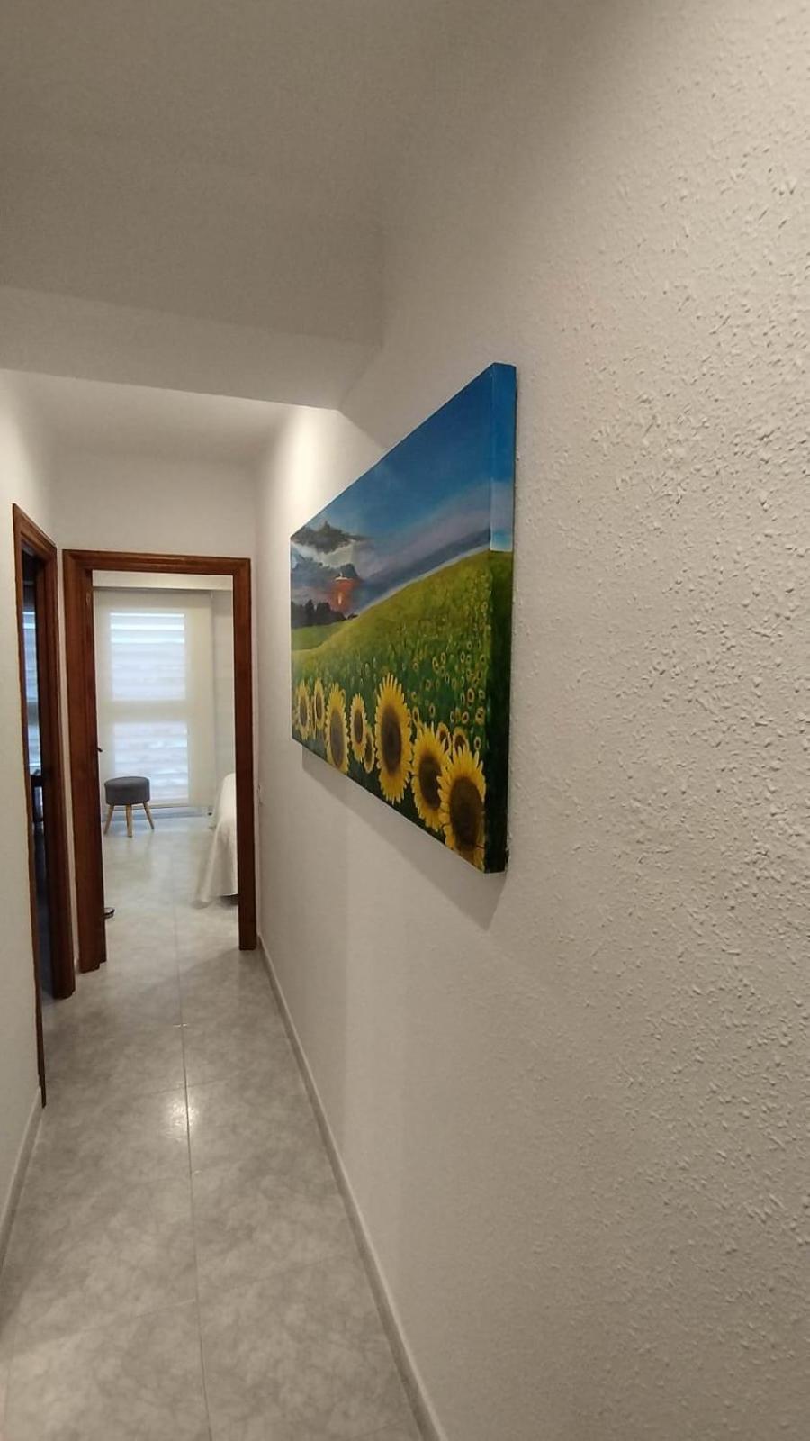 Apartamento Jaume II Palamós Dış mekan fotoğraf